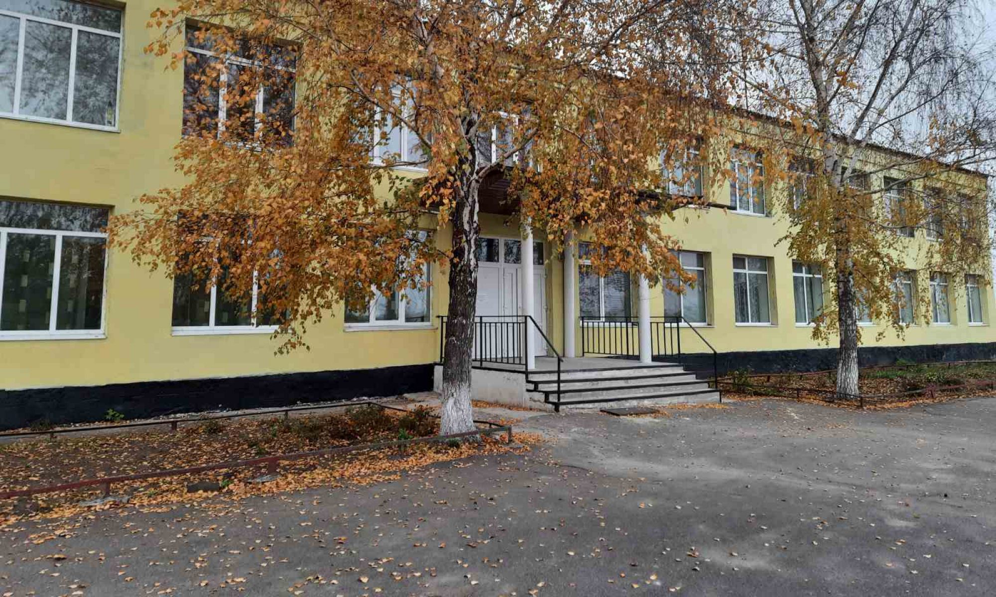 Гриньківська ЗОШ І-ІІІ ступенів імені  Миколи Віталійовича Лисенка 